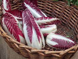 Chicory Vegetable Seeds-Red