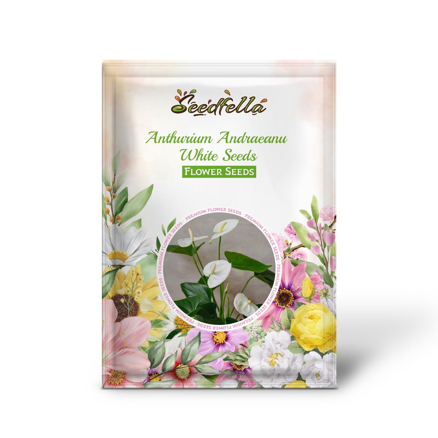 Anthurium Andraeanu White Seeds for Planting - Ideal for Home Gardens and Indoor Decor