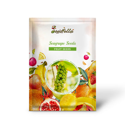 Seagrape Seeds for Easy Planting Grow Your Own Seagrape Fruit