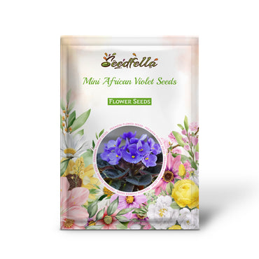 Mini African Violet Seeds for Indoor & Outdoor Planting - Easy to Grow