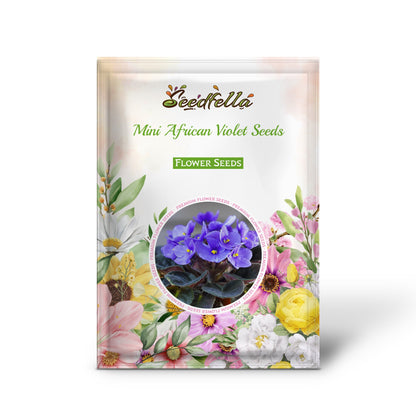 Mini African Violet Seeds for Indoor & Outdoor Planting - Easy to Grow