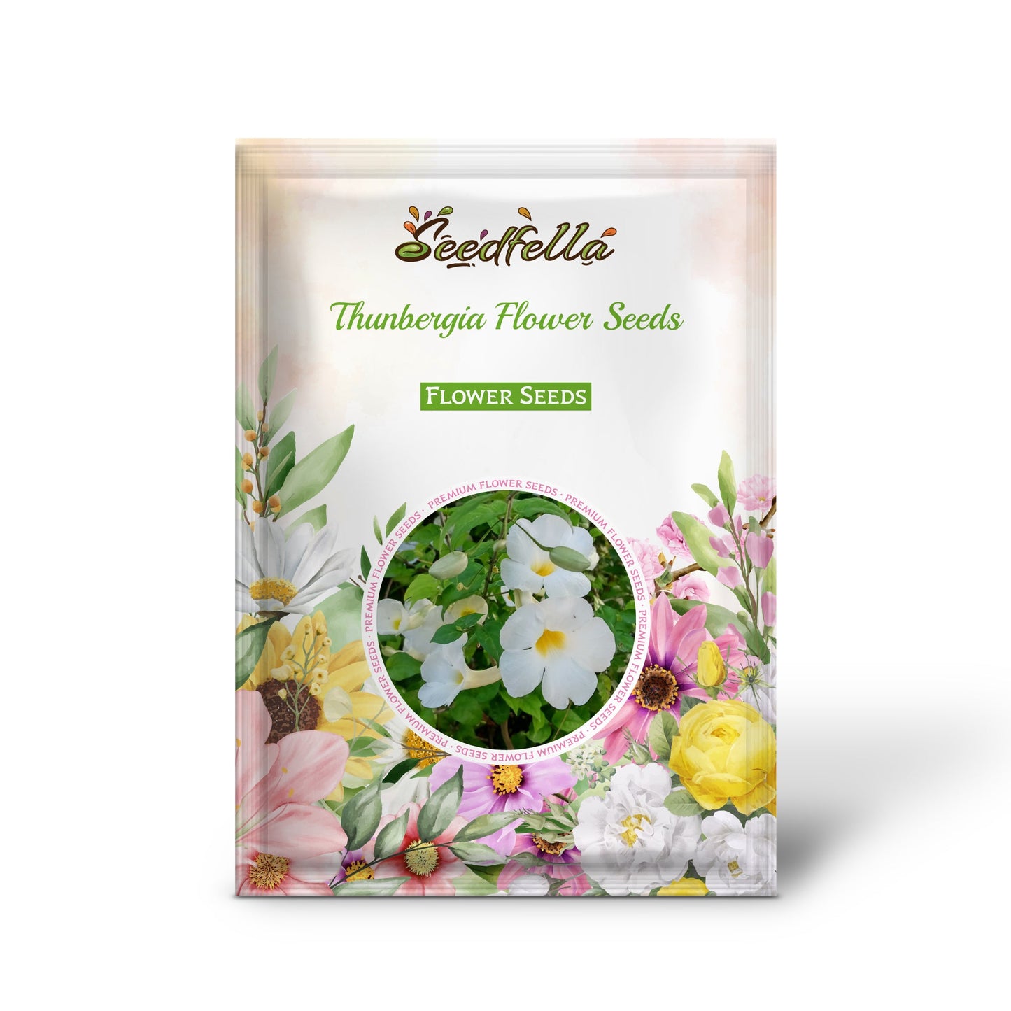 Thunbergia Flower Seeds for Vibrant Garden Planting