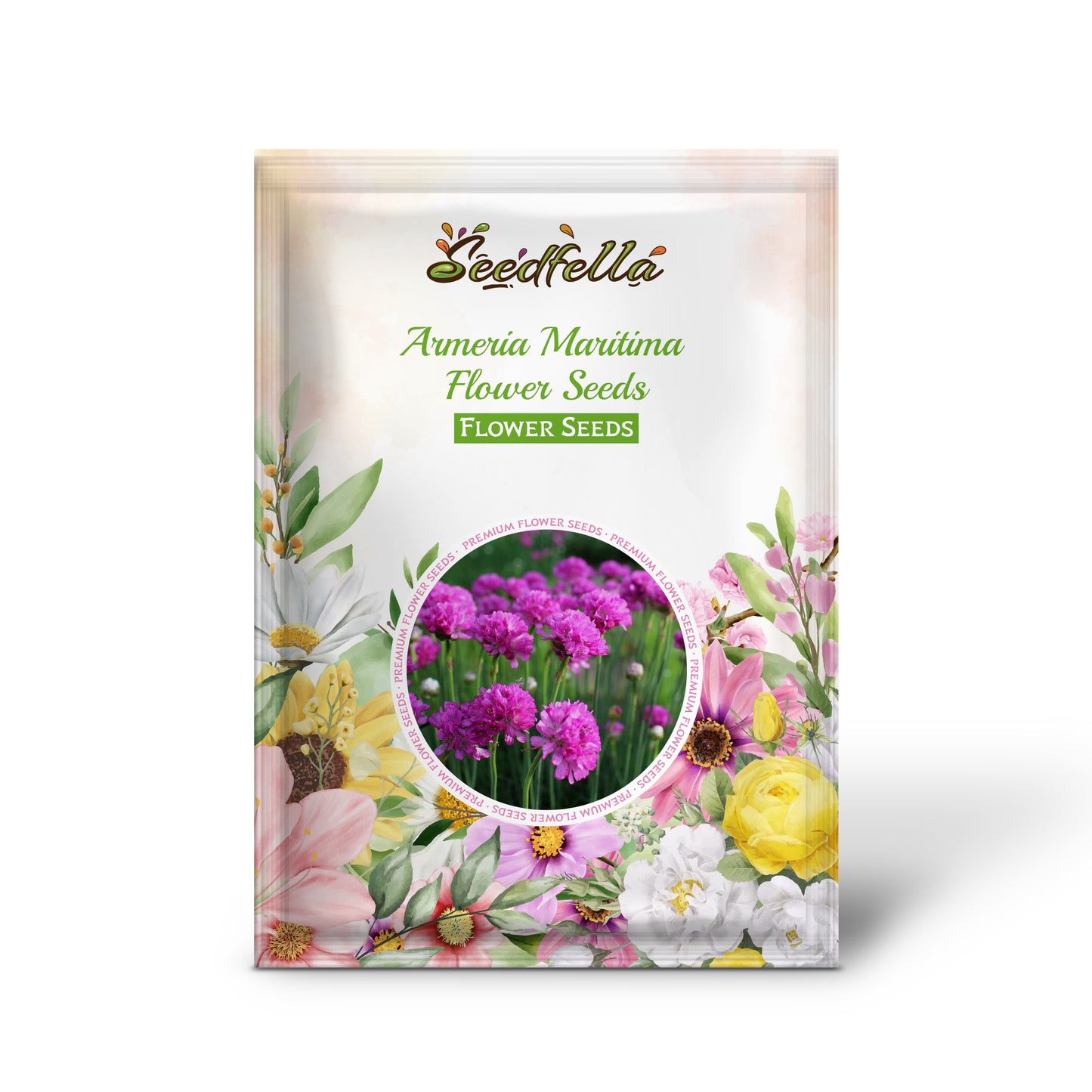 Armeria Maritima Flower Seeds for Planting: Vibrant Groundcover for Beautiful Coastal Gardens