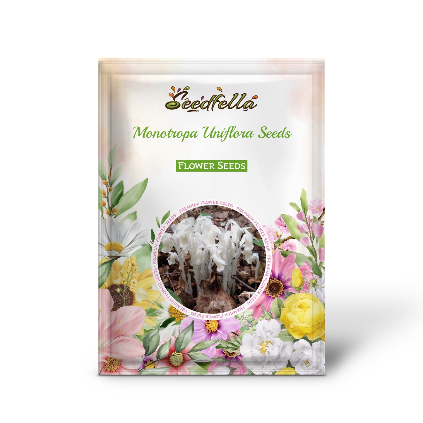 Monotropa Uniflora Seeds - Planting the Enigmatic Indian Pipe Flower