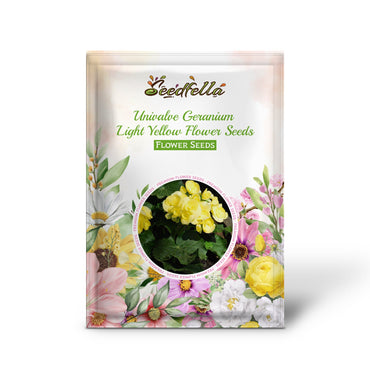Univalve Geranium Light Yellow Flower Seeds for Planting  Annual Seeds for a Beautiful Garden