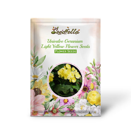 Univalve Geranium Light Yellow Flower Seeds for Planting  Annual Seeds for a Beautiful Garden