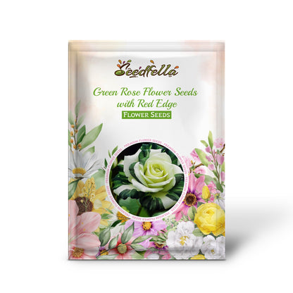 Green Rose Flower Seeds with Red Edge - Unique Garden Planting, Easy-to-Grow Perennial