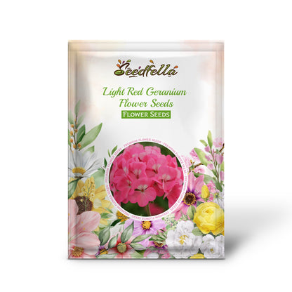 Light Red Geranium Flower Seeds for Planting | Annual Seeds for Vibrant Gardens