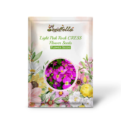 Light Pink Rock CRESS Flower Seeds for Planting  Easy-Grow Perennial Seeds