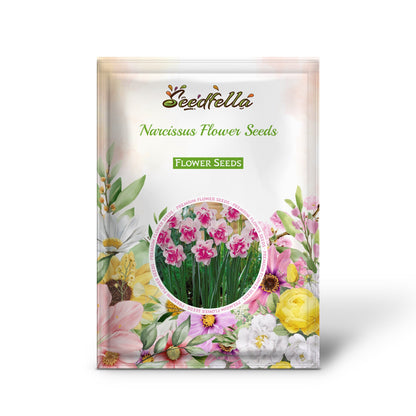 Narcissus Flower Seeds for Planting - White Pink Varieties for Stunning Gardens