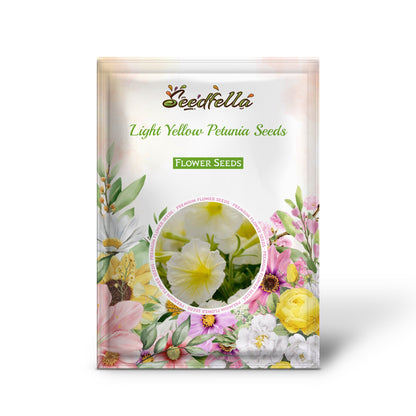 Light Yellow Petunia Seeds for Planting  Annual Blooms