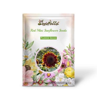 Red Mini Sunflower Seeds for Garden Planting
