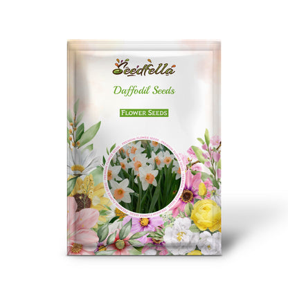 Daffodil Seeds for Planting: White and Red Blooms