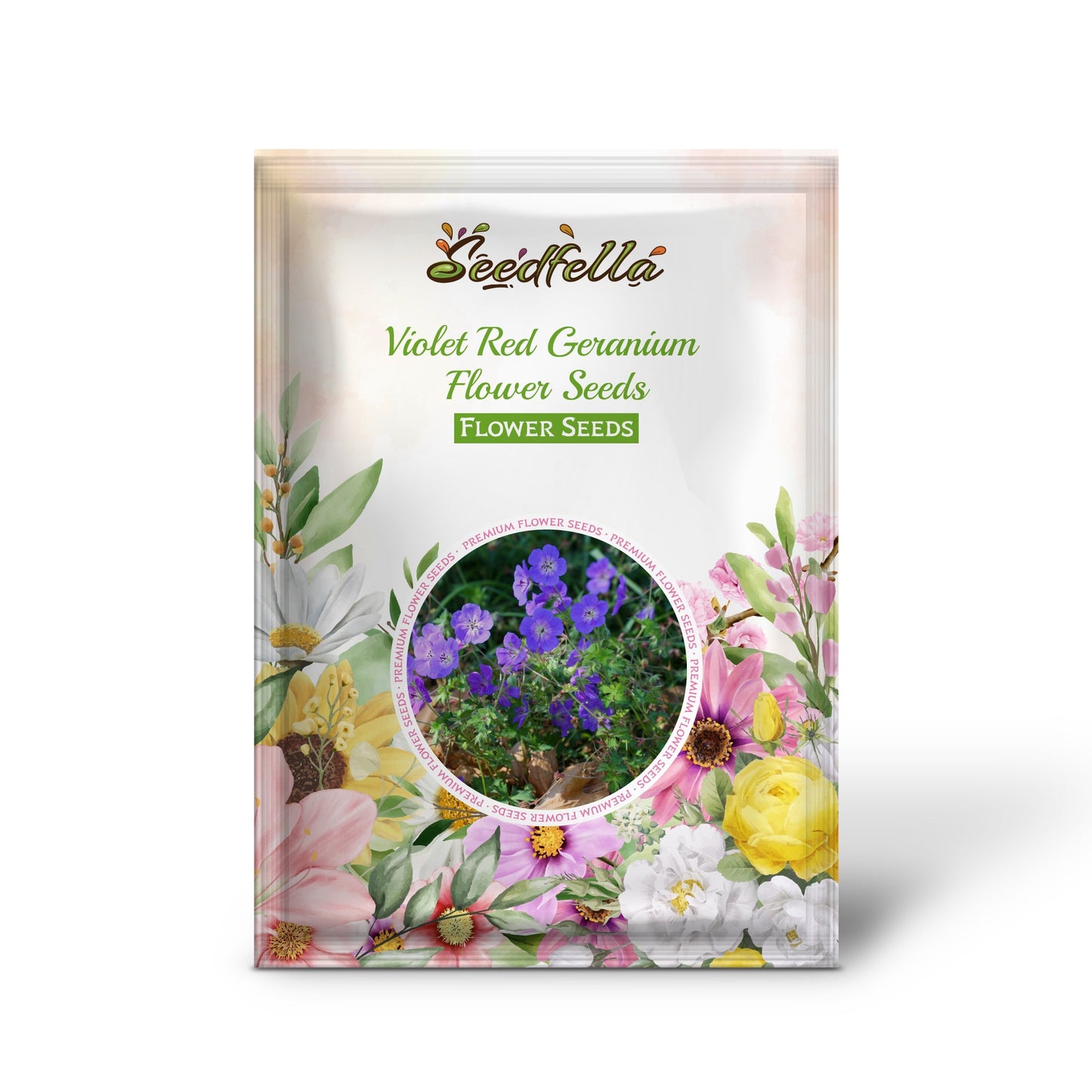 Violet Red Geranium Flower Seeds for Planting - Vibrant Garden Blooms