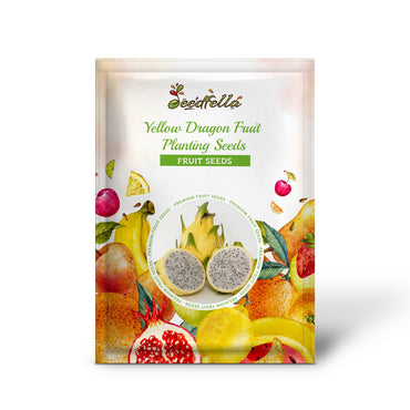 Yellow Dragon Fruit Planting Seeds Grow Exotic Pitaya at Home