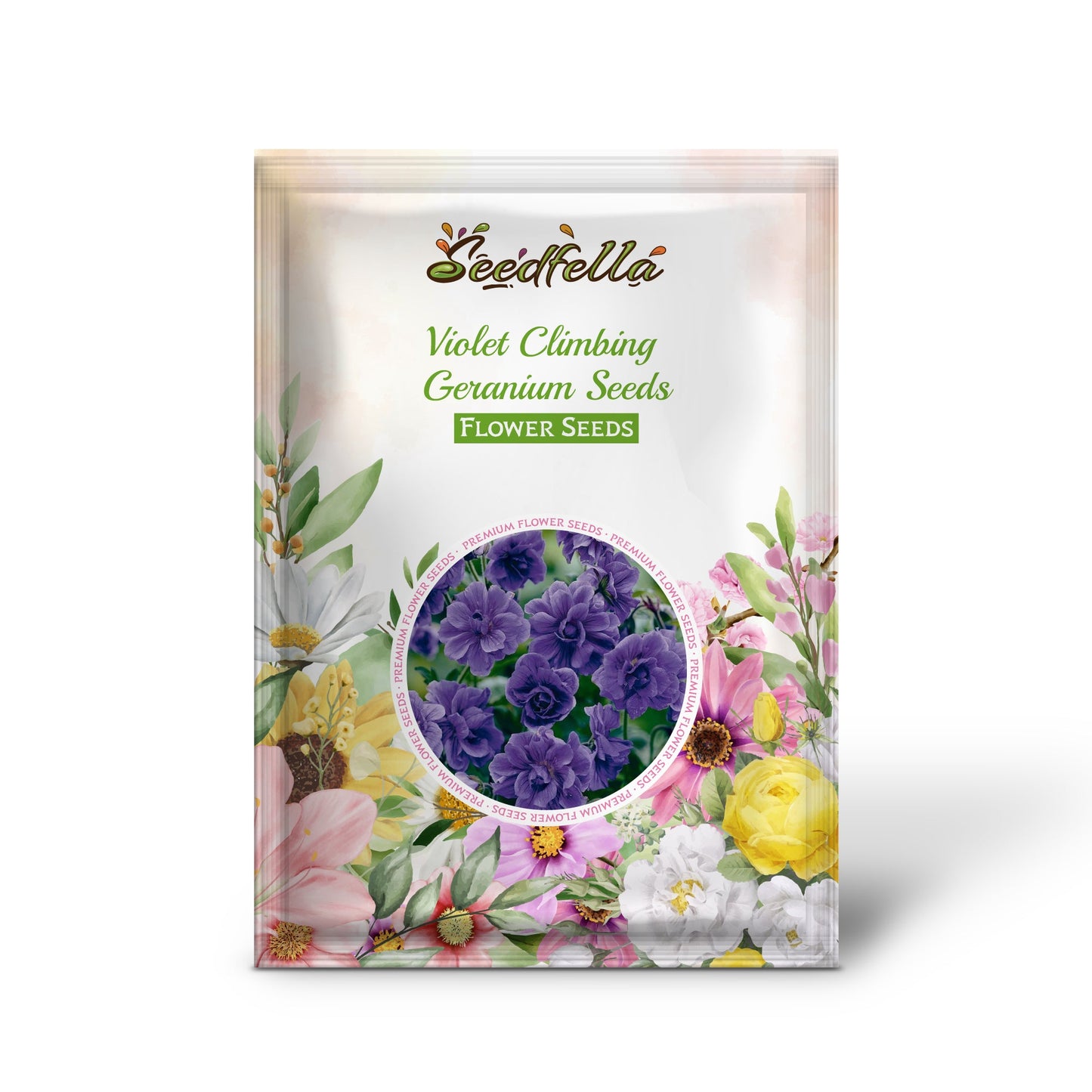 Violet Climbing Geranium Seeds for Planting  Enhance Your Garden