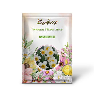 Narcissus Flower Seeds for Planting  White and Yellow Blooms