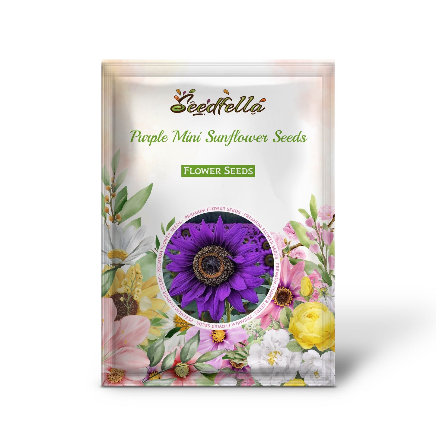 Purple Mini Sunflower Seeds for Planting  Grow Your Garden