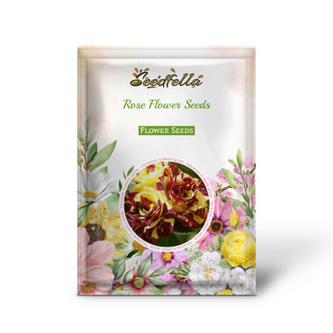 Rose Flower Seeds for Planting - Red and Yellow Blooms for a Colorful Garden