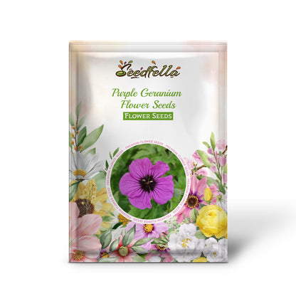 Purple Geranium Flower Seeds for Planting - Vibrant Garden Blooms
