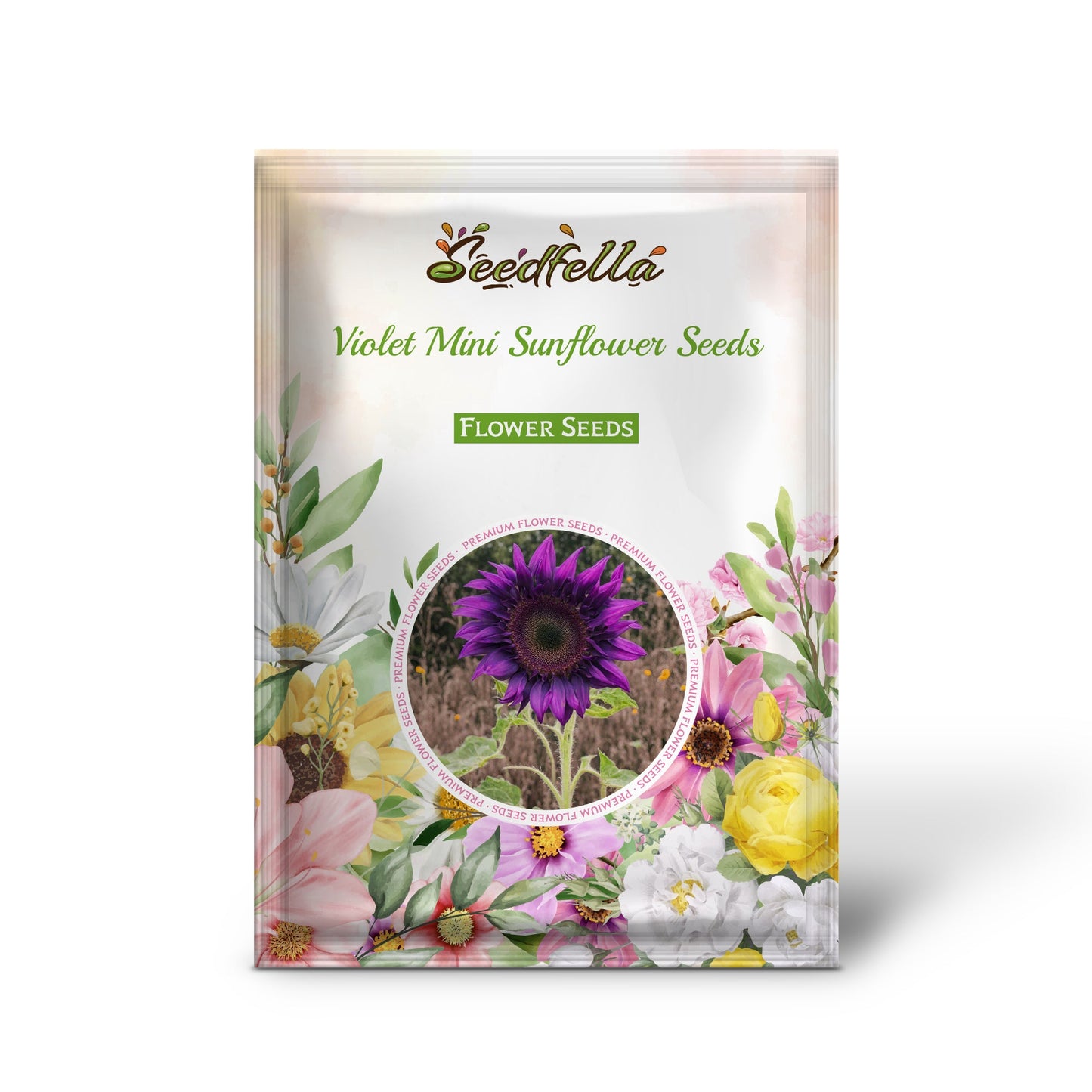 Violet Mini Sunflower Seeds  Ideal for Planting in Gardens