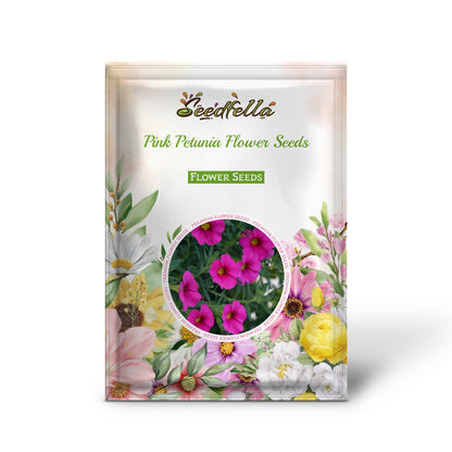 Pink Petunia Flower Seeds for Planting  Brighten Your Garden