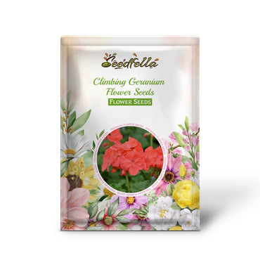 Climbing Geranium Flower Seeds - Vibrant Orange for Planting | Enhance Your Garden with Beautiful Seeds