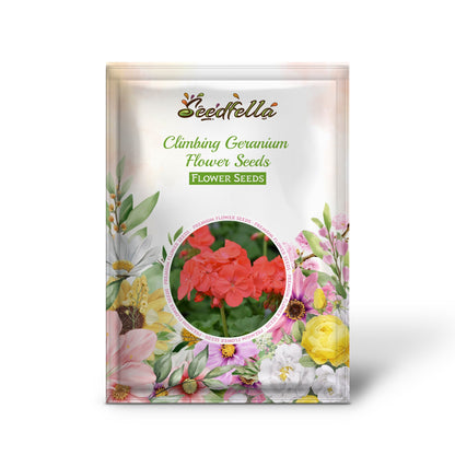 Climbing Geranium Flower Seeds - Vibrant Orange for Planting | Enhance Your Garden with Beautiful Seeds