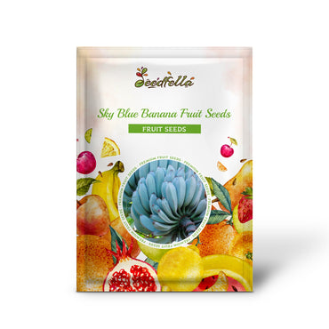 Blue Java Banana Fruit Seeds for Planting