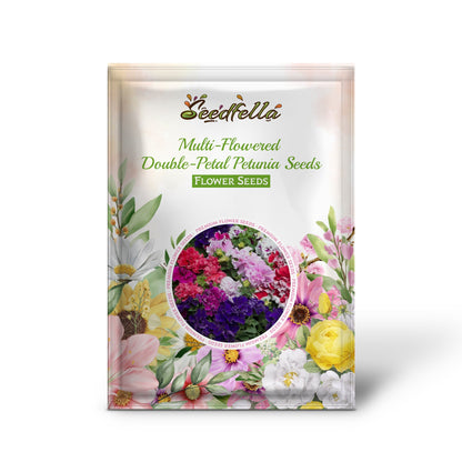 Multi-Flowered Double-Petal Petunia Seeds for Planting - Vibrant Mixed Colors