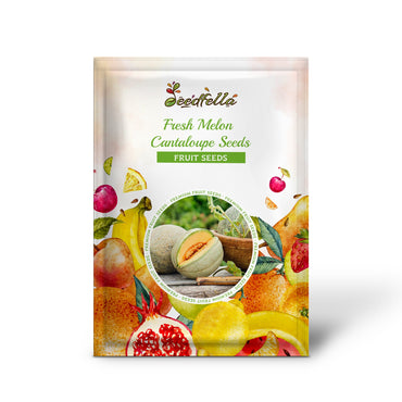 Fresh Melon Cantaloupe Seeds for a Vibrant Summer Harvest