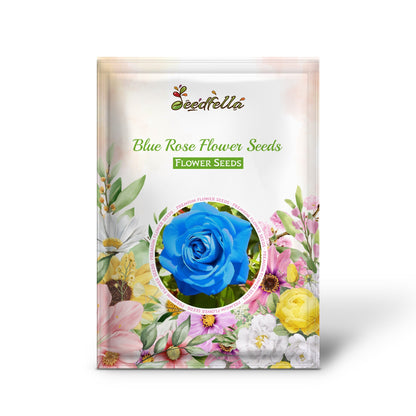 Blue Rose Flower Seeds  Cultivate Unique Blooms in Your Garden