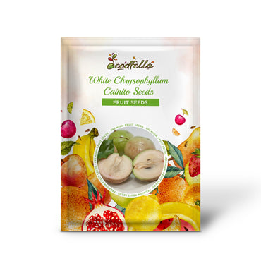 White Chrysophyllum Cainito Seeds for Planting - Grow Delicious Star Apples