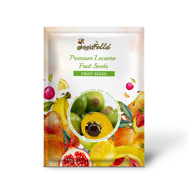 Premium Lucuma Fruit Seeds | Perfect for Home Gardens