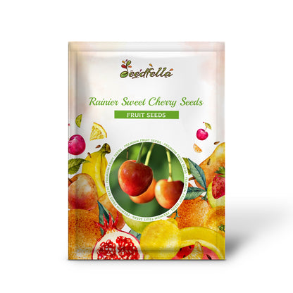 Rainier Sweet Cherry Seeds for Planting Grow Your Own Fruit