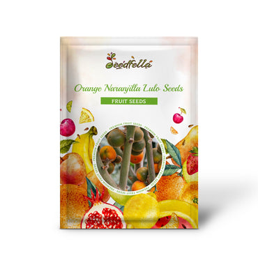 Orangene Naranjilla Lulo Samen zum Pflanzen Exotische Tropenfrucht zu Hause anbauen