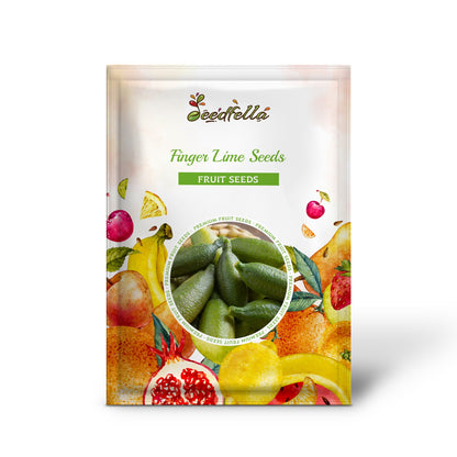 Finger Lime Seeds for Planting Grow Your Own Unique Fruit!