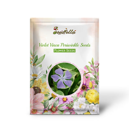 Violet Vinca Periwinkle Seeds for Planting - Beautiful Blooms