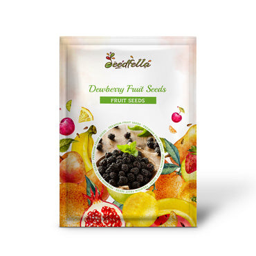 Dewberry Fruit Seeds for Planting - Grow Juicy Berries at Home