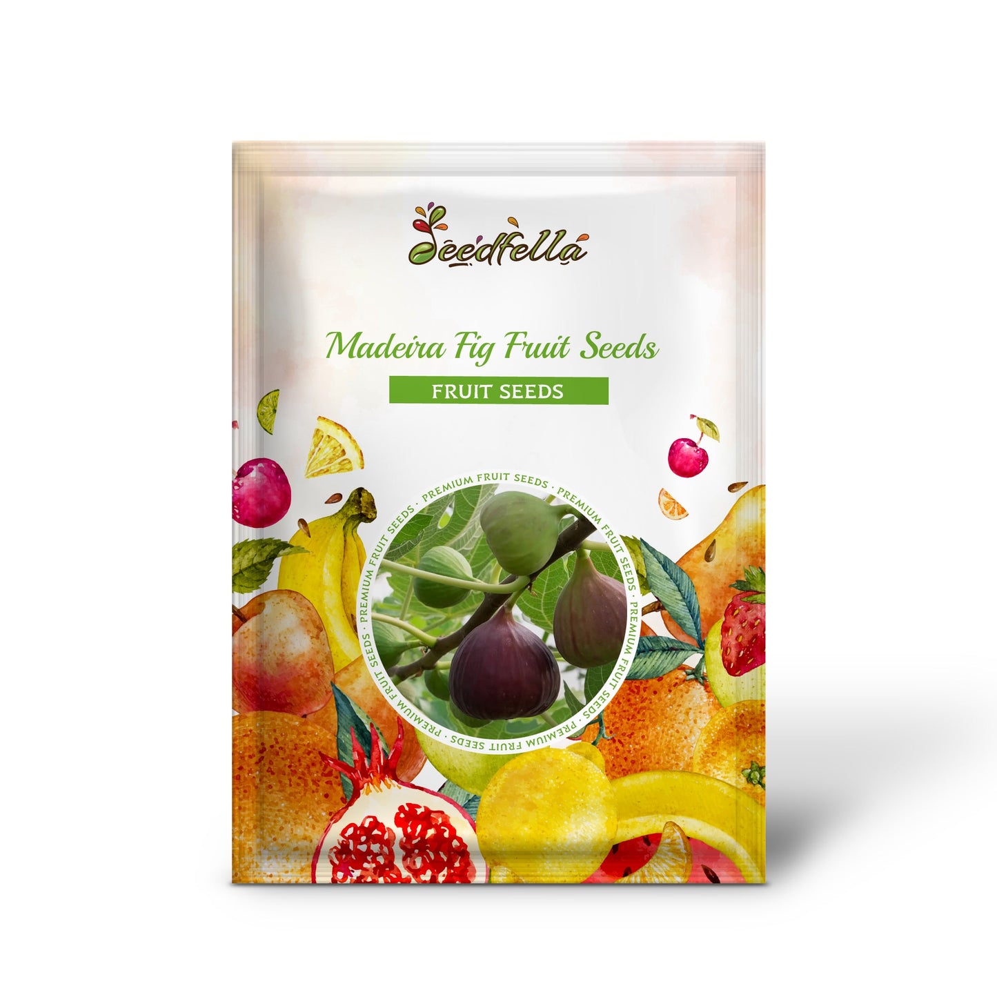 Madeira Fig Fruit Seeds for Planting | Grow Delicious Figs at Home