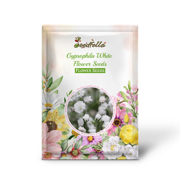 Gypsophila White Flower Seeds for Planting - Perfect for Beautiful Bouquets