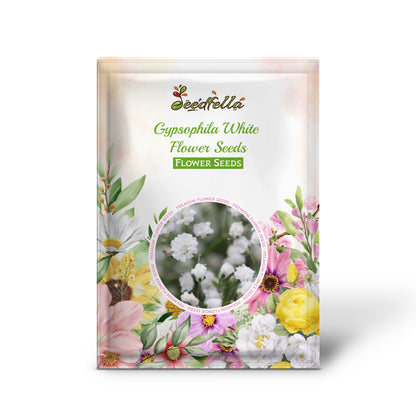 Gypsophila White Flower Seeds for Planting - Perfect for Beautiful Bouquets