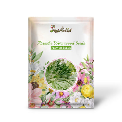 Absinthe Wormwood Seeds for Planting - Premium Quality