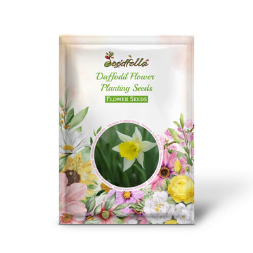 Daffodil Flower Planting Seeds for Vibrant Spring Blooms
