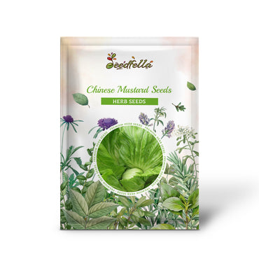 Chinese Mustard Seeds for Planting