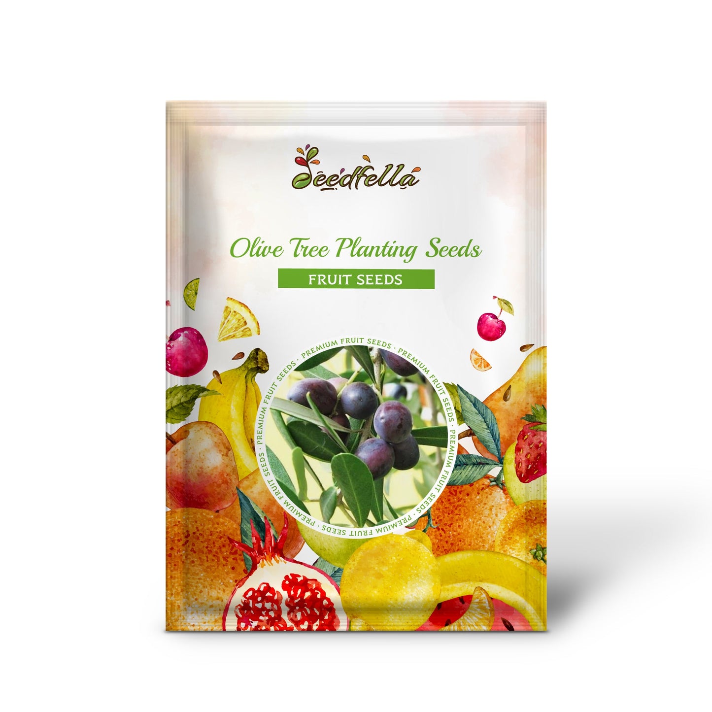 Olive Tree Planting Seeds for Home Gardens