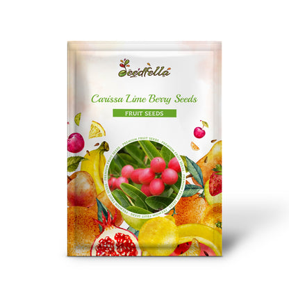 Planting Carissa Lime Berry Seeds Unique Flavor for Your Garden