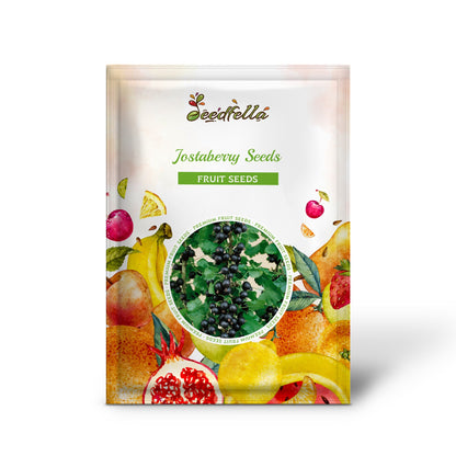 Jostaberry Seeds for Planting | Unique Hybrid Fruit Planting Seeds