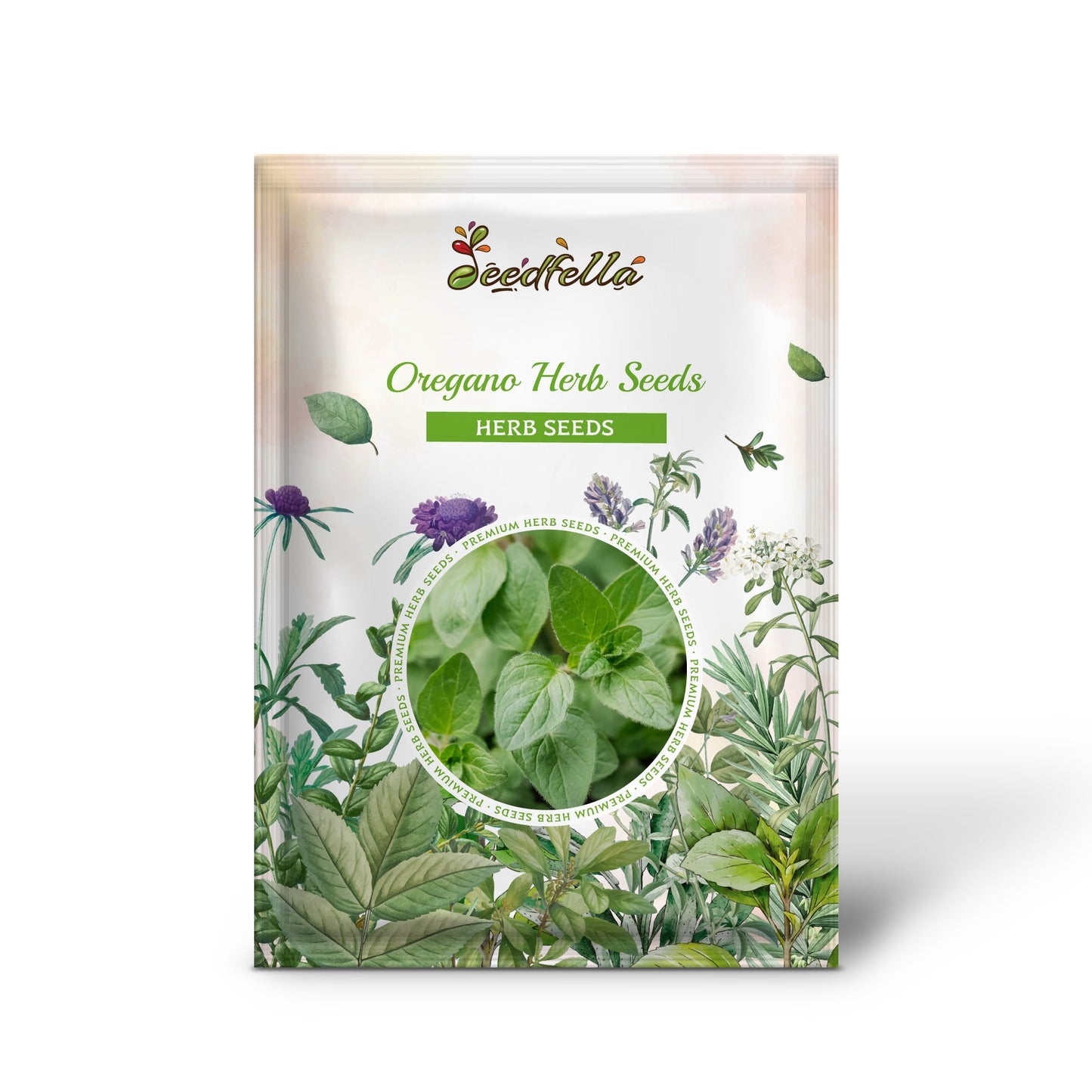 Oregano Herb Seeds for Planting - Grow Fresh Flavor