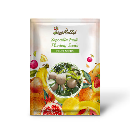 Sapodilla Fruit Planting Seeds for Thriving Home Gardens